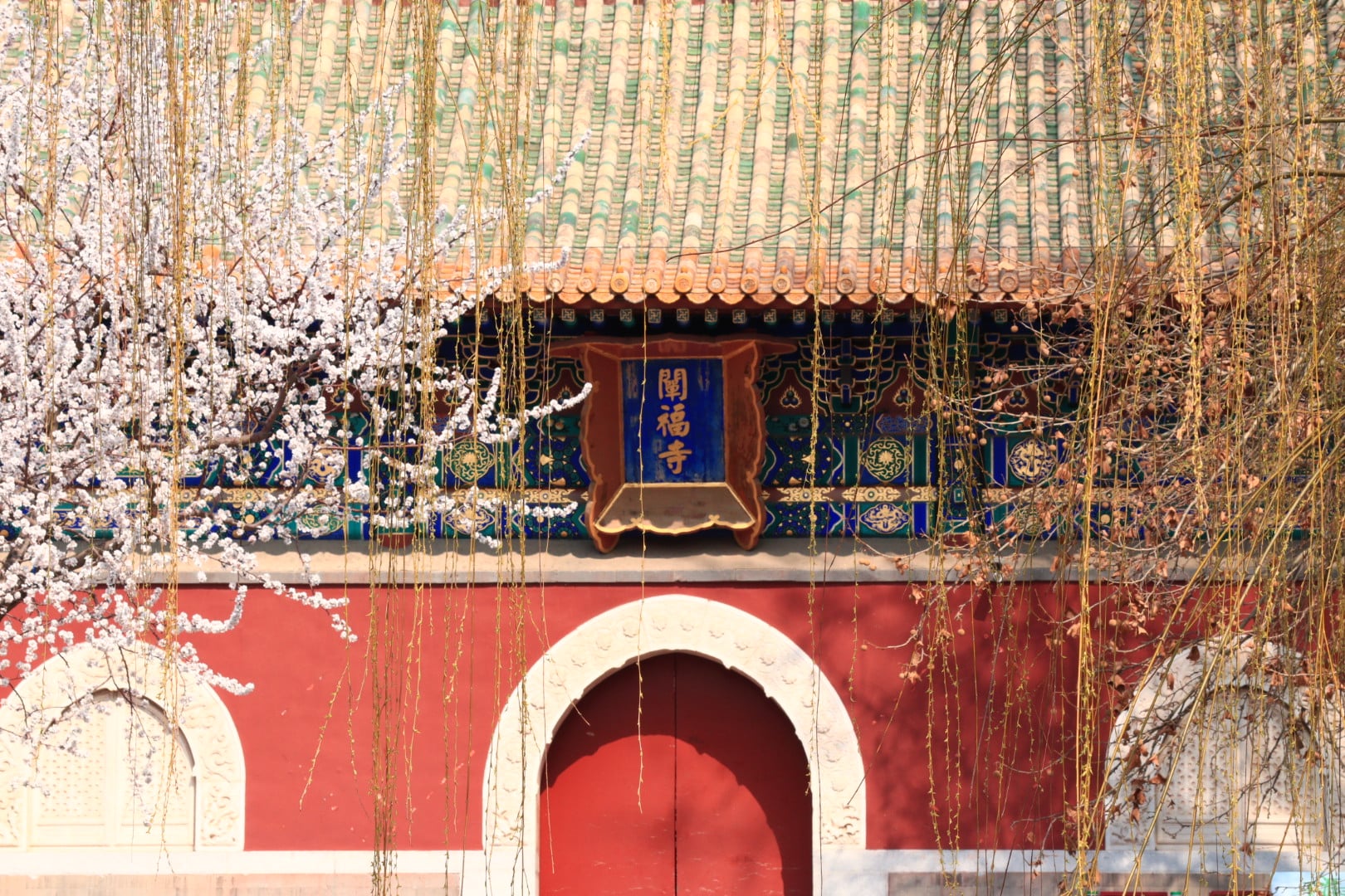 Beijing — 20260316111146_IMG_7494